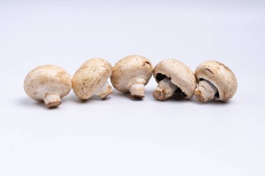 Mantar düğmesi beyaz arkaplanda izole edilmiş. sebze yemeği. Doğadan gelen yiyecek. Stüdyo ışıklandırma