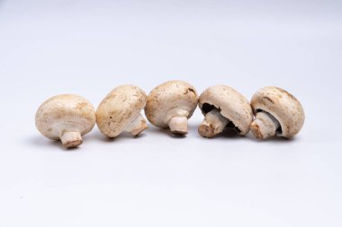 Mantar düğmesi beyaz arkaplanda izole edilmiş. sebze yemeği. Doğadan gelen yiyecek. Stüdyo ışıklandırma