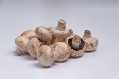 Mantar düğmesi beyaz arkaplanda izole edilmiş. sebze yemeği. Doğadan gelen yiyecek. Stüdyo ışıklandırma