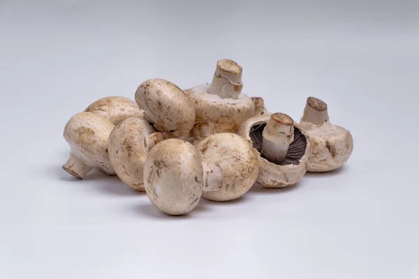 蘑菇按钮隔离在白色背景中 蔬菜食物 来自大自然的食物 摄影棚照明照片 — 图库照片