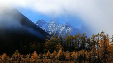 Çin 'in güzelliği