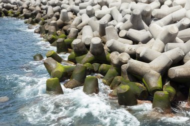 Beton omurgalı bir dalgakıran oluşturmak