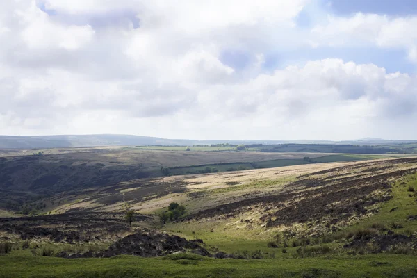 Exmoor Milli Parkı İngiltere — Stok fotoğraf