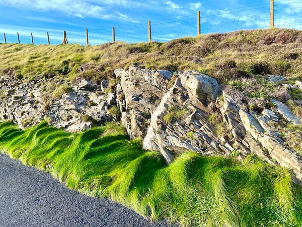 Våga Effekt Gräs Från Starka Vindar Isle Man — Stockfoto