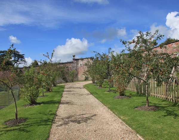 Старий англійський Яблуневий сад — стокове фото