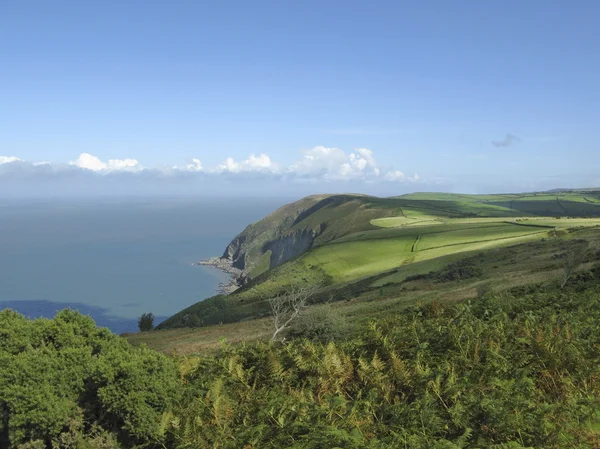 Pola w północnej części hrabstwa Devon i skały — Zdjęcie stockowe