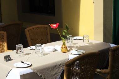 Çiçek ve boş tablo