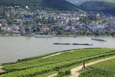 Nehir Ren Vadisi ve üzüm bağları
