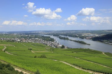 Nehir Ren Vadisi ve üzüm bağları