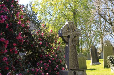 Çapraz ve bahar çiçekleri eski taş