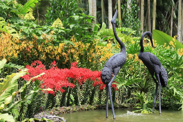 Belle orchidee tropicali rosse e gialle — Foto Stock