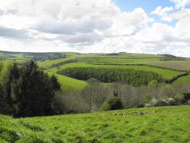 Devonshire yeşil tepelerin haddeleme tarım arazileri