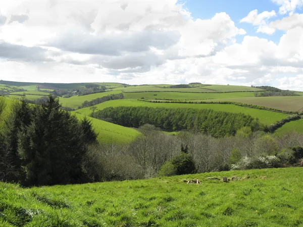 Devonshire Farmland zielone wzgórza — Zdjęcie stockowe