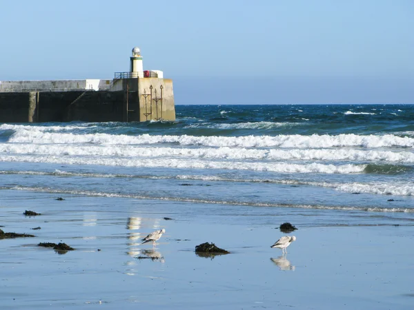 Sea wall and Lighthouse — Stock Photo, Image