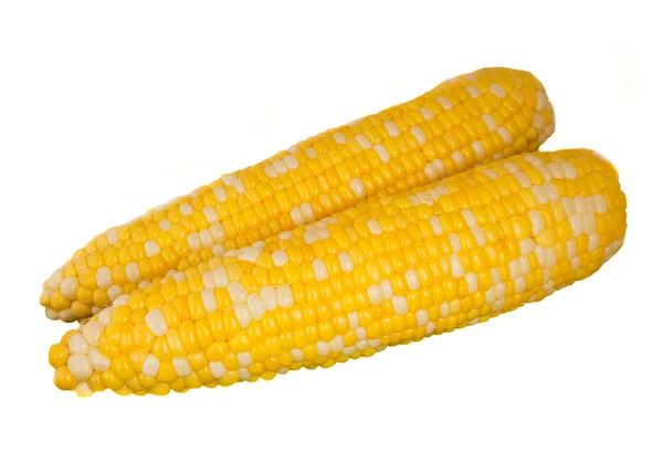 Sweet Corn — Stock Photo, Image