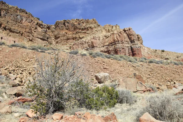 Formations rocheuses du Nouveau-Mexique — Photo