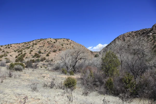 New Mexico high desert — Stock Photo, Image