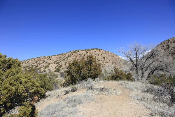 New Mexico high desert — Stock Photo, Image