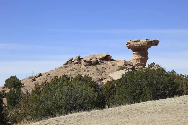 Camel Rock — Stock Photo, Image