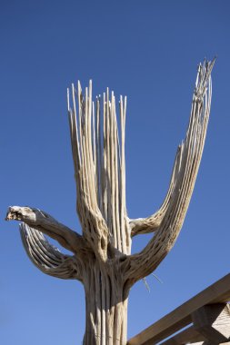 Dev saguaro kaktüsü