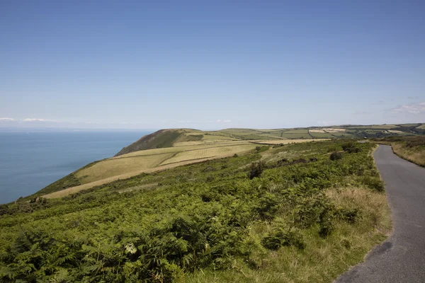 Jordbruksmark i north Devon coast — Stockfoto