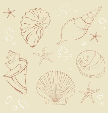 Seashell siluetleri kümesi