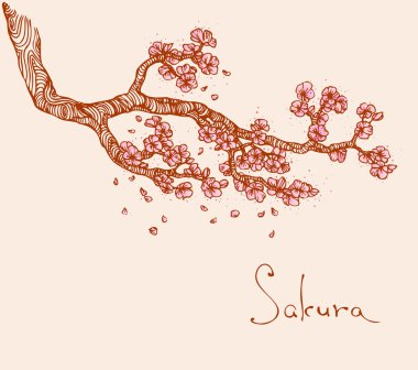 Sakura'nın şubesi ile illüstrasyon