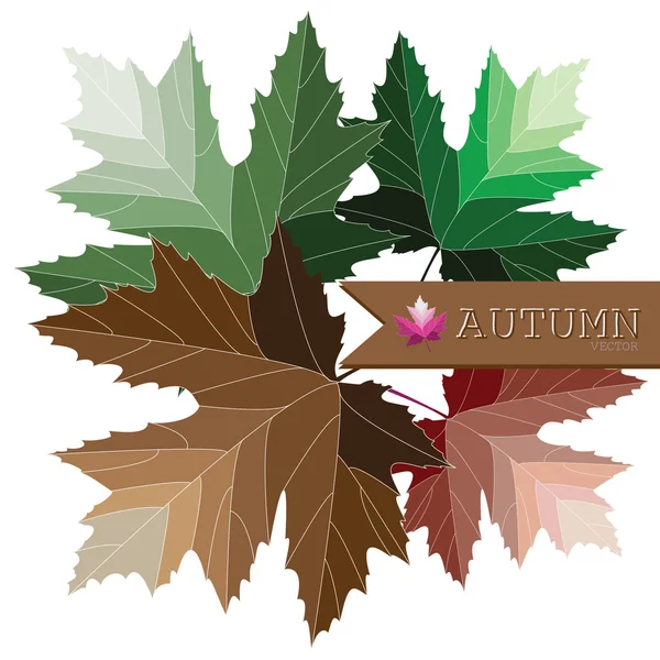 Осенний набор разноцветных кленовых листьев — стоковый вектор