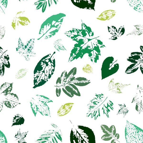 Ağaç yapraklı, şık duvar kağıtları. Yeşil yaprak izleri. Üzerinde parmak izi olan kartpostal..