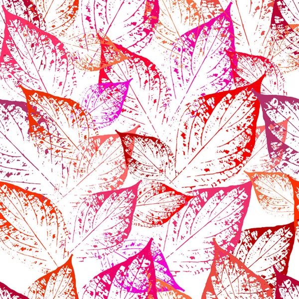  Kırmızı yapraklı duvar kâğıdı. Beyaz arka planda kırmızı ağaç yaprakları. Sonbahar yapraklarının pürüzsüz deseni. Üzerinde parmak izi olan kartpostal..