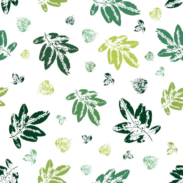 緑の葉のスタイリッシュな壁紙 白い背景にカラフルな葉のプリント — ストックベクタ