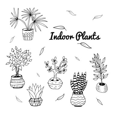 Kaktüs, dracena, aloe ve diğer bahçe aletleri de dahil olmak üzere el yapımı ev bitkilerinden oluşan büyük bir set. Karalama bitkilerinin vektör koleksiyonu.