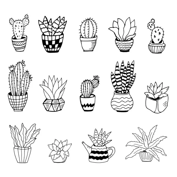 cacto simples desenhado à mão bonito. planta de casa em um clipart