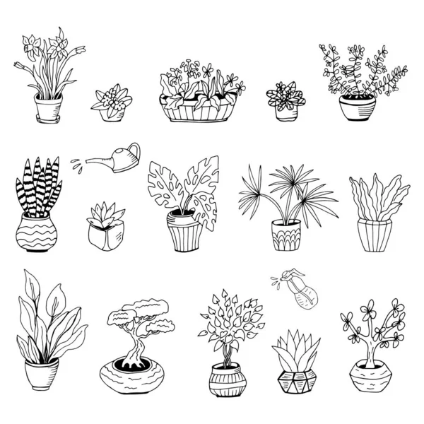 Kaktüs, dracena, aloe ve diğer bahçe aletleri de dahil olmak üzere el yapımı ev bitkilerinden oluşan büyük bir set. Karalama bitkilerinin vektör koleksiyonu.