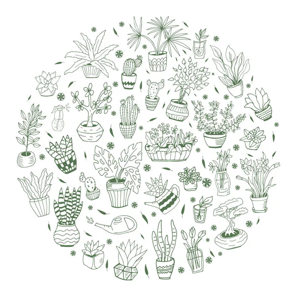 Kaktüs, dracena, aloe ve diğer bahçe aletleri de dahil olmak üzere el yapımı ev bitkilerinden oluşan büyük bir set. Karalama bitkilerinin vektör koleksiyonu.