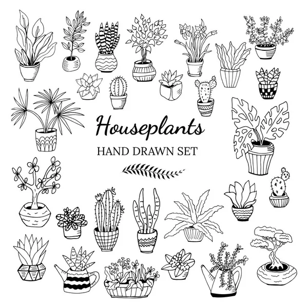 Kaktüs, dracena, aloe ve diğer bahçe aletleri de dahil olmak üzere el yapımı ev bitkilerinden oluşan büyük bir set. Karalama bitkilerinin vektör koleksiyonu.