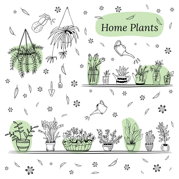 Big set cute of hand drawn house plants in pots including cactus, dracena, aloe and others, and garden tools. Vector collection of doodle plants. — Stock Illustration Big Set Cute Hand Drawn House Plants Pots Including Cactus Royalty Free Stock Illustrations