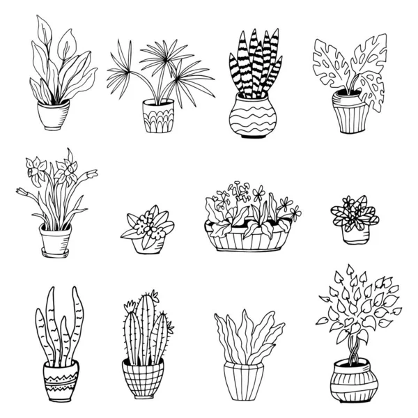 Big set cute of hand drawn house plants in pots including cactus, dracena, aloe and others, and garden tools. Vector collection of doodle plants. — Stock Illustration Big Set Cute Hand Drawn House Plants Pots Including Cactus Vector Graphics