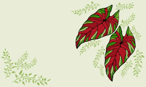 カラジウム植物の葉 自然デザインのための手描きの優雅ベクトルイラスト 手描きの大きなカラジウムの葉のセット — ストックベクタ