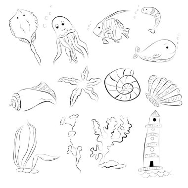 Beyaz arka planda deniz hayvanlarının çizimi. Deniz bitkileri ve hayvanların olduğu bir kartpostal. Bir dizi deniz balığı ve bitki..