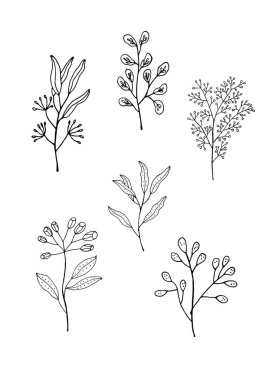 Beyaz arka planda şifalı bitkiler. Şifalı otlarla süslü bir broşür. Yaz çiçekleri ve bitkilerle dolu bir kartpostal..