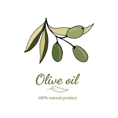 Vektör zeytin dalı çizimi. Zeytin dalı çizimleri. Poster, etiket, amblem, işaret, pankart tasarımı. Vektör illüstrasyonu.