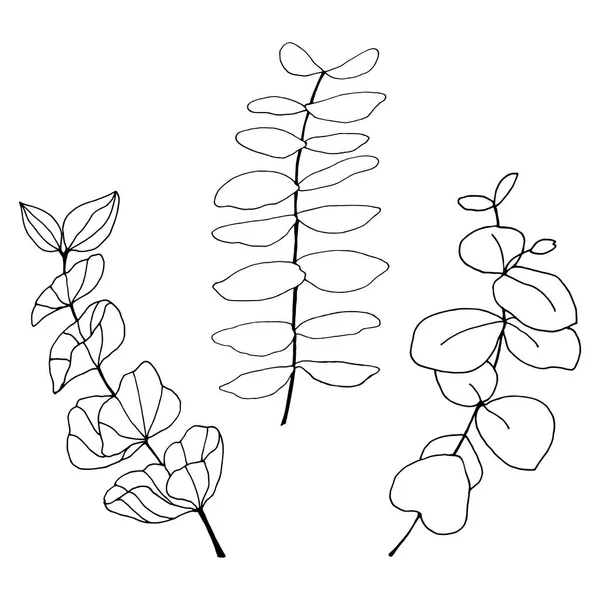 ユーカリの葉 枝や花のセット ユーカリの枝手描きの植物イラスト ユーカリの葉と花は白い背景にあります ベクトルスケッチイラスト — ストックベクタ