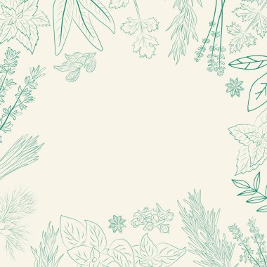 Bitki ve baharat koleksiyonu. El yapımı Baharat ve Bitki Koleksiyonu. Botanik bitki çizimi. Antika şifalı bitkiler ve bitkiler. 