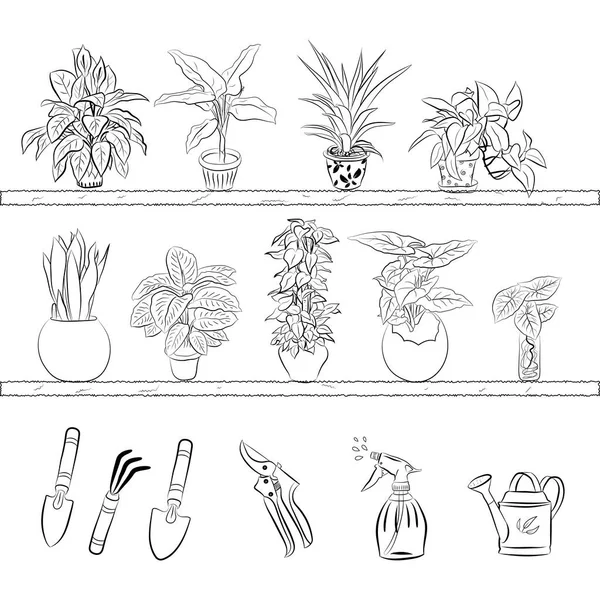 Tencereye el çizimi ev bitkileri. Kaktüs, dracena, aloe ve diğer bahçe aletleri de dahil olmak üzere el yapımı ev bitkilerinden oluşan büyük bir set. Karalama bitkilerinin vektör koleksiyonu.