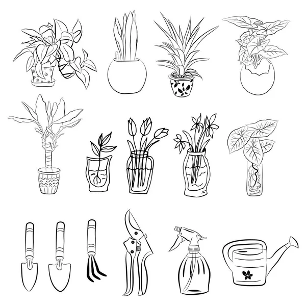 Conjunto Plantas Casa Dibujadas Mano Macetas Gran Conjunto Lindo Plantas — Vector de stock