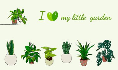 Tencereye el çizimi ev bitkileri. Kaktüs, dracena, aloe ve diğer bahçe aletleri de dahil olmak üzere el yapımı ev bitkilerinden oluşan büyük bir set. Karalama bitkilerinin vektör koleksiyonu.