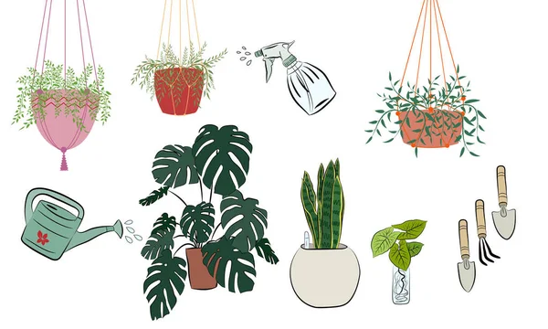 Tencereye el çizimi ev bitkileri. Kaktüs, dracena, aloe ve diğer bahçe aletleri de dahil olmak üzere el yapımı ev bitkilerinden oluşan büyük bir set. Karalama bitkilerinin vektör koleksiyonu.