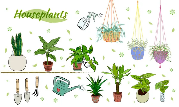 Kézzel Rajzolt Ház Növények Cserépben Nagy Készlet Aranyos Kézzel Rajzolt — Stock Vector