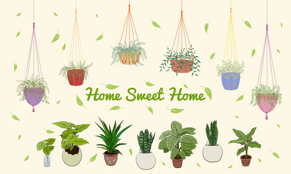 Tencereye el çizimi ev bitkileri. Kaktüs, dracena, aloe ve diğer bahçe aletleri de dahil olmak üzere el yapımı ev bitkilerinden oluşan büyük bir set. Karalama bitkilerinin vektör koleksiyonu.